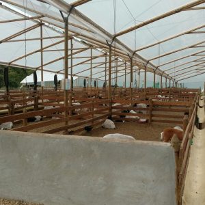 Cubierta para corrales ganado Estrucutras Flexibles 2