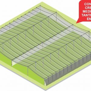Estructura Flexible ejemplo